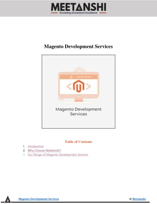 Magento Development Services