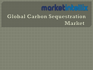 Market Intellix Provide Latest Report on Global Carbon Sequestration Market