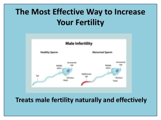 Improve Sperm Production and Motility with Baby Capsule