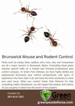 Brunswick Mouse and Rodent Control