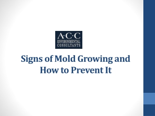 Signs of Mold Growing and How to Prevent It