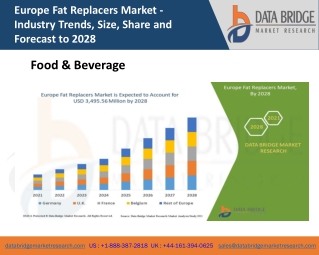Europe Fat Replacers Market