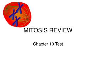 MITOSIS REVIEW