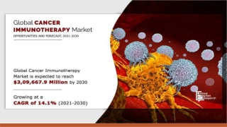 What is Cancer Immunotherapy?