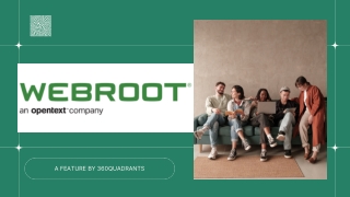 Webroot: Cybersecurity & Threat Intelligence Services