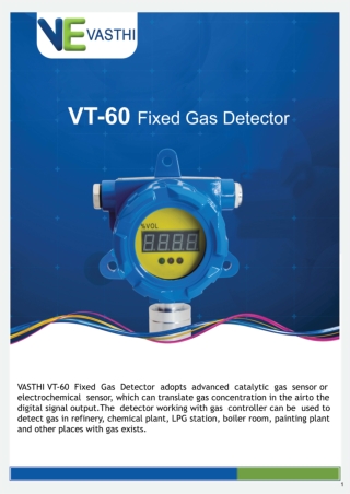 VT-60 Fixed Gas Detector