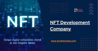 Build and Launch Advanced NFT (Non-Fungible Tokens) Solutions with our NFT Development Services