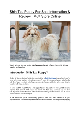 Shih Tzu Puppy For Sale Information & Review | Mutt Store Online