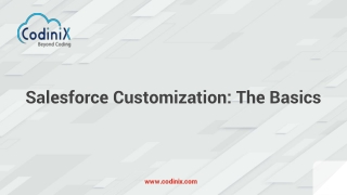 Salesforce Customization The Basics
