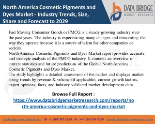 North America Cosmetic Pigments and Dyes Market