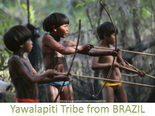 Tribe from Brazil