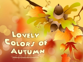 Lovely Colors of Autumn (4)