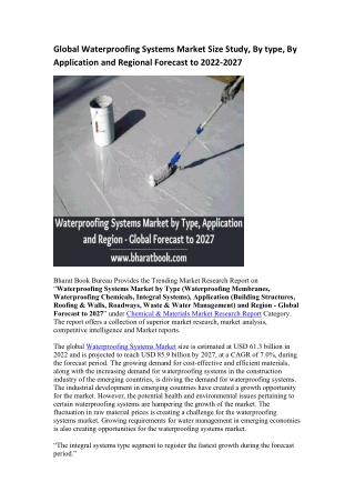 Global Waterproofing Systems Market Research Report 2022-2027