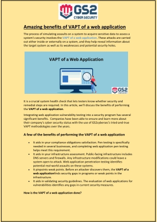 Amazing benefits of VAPT of a web application