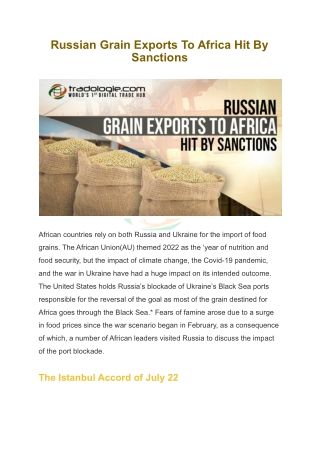 Russian Grain Exports To Africa Hit By Sanctions
