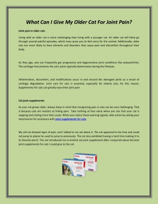 What Can I Give My Older Cat For Joint Pain