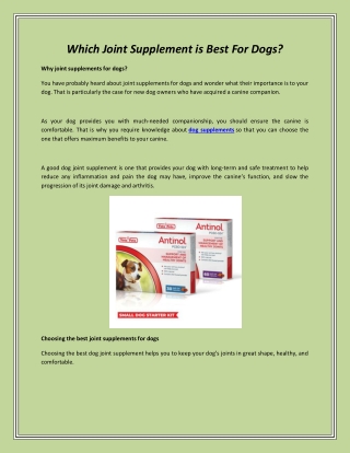 Which Joint Supplement is Best For Dogs
