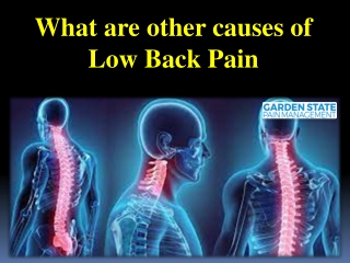 What are other causes of Low Back Pain