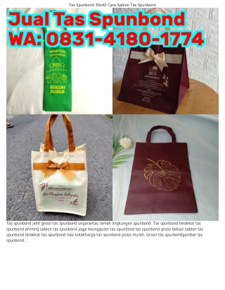 Ô831–Ꮞ18Ô–1ᜪᜪᏎ (WA) Distributor Tas Spunbond Surabaya Tas Spunbond Untuk Nasi Ko