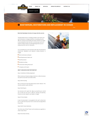 Coogee Roof Repairs Services