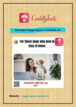 Affordable Doggy Daycare in Fairfield, CA