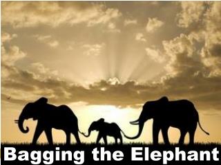 Bagging the Elephant
