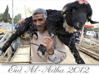 Eid al-Adha 2012 around the World