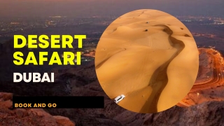 Best Desert Safari in Dubai