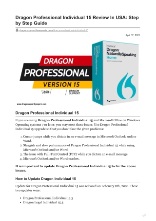 Dragon Professional Individual 15 Review In USA
