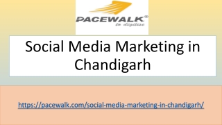 Best Social Media Marketing in Chandigarh