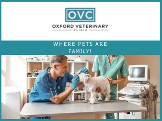 Mississippi Veterinary