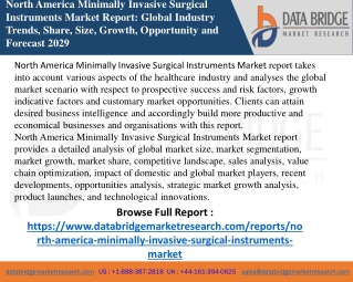 North America Minimally Invasive Surgical Instruments Market Size, Share, Growth