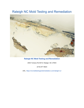 Raleigh NC Mold Testing and Remediation