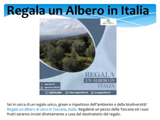 Regala un Albero in Italia