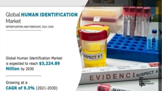 What is Human Identification?