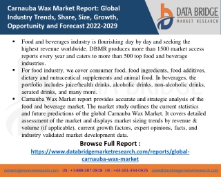 Carnauba Wax Market