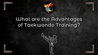 What are the Advantages of Taekwondo Training?