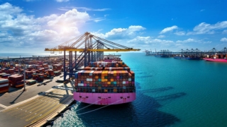 freight forwarding management system
