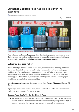 flightsassistance.com-Lufthansa Baggage Fees And Tips To Cover The Expenses