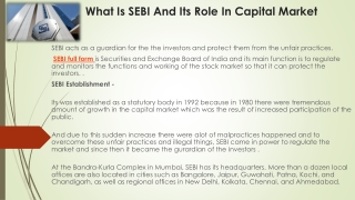 What Is SEBI And Its Role In Capital