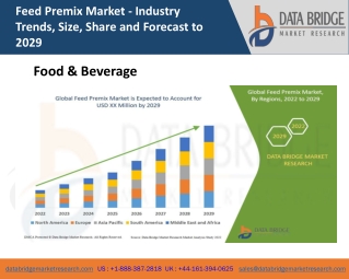 Feed Premix Market