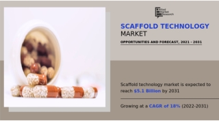 What is Scaffold Technology ?