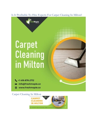 Is It Profitable To Hire Experts For Carpet Cleaning In Milton