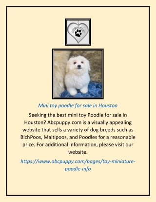 Mini toy poodle for sale in Houston