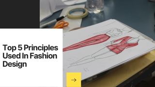 Top 5 Principles Used In Fashion Design