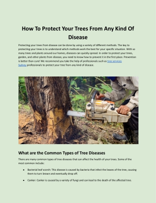 How To Protect Your Trees From Any Kind Of Disease