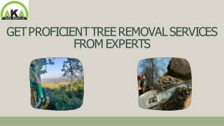 Acquire Professional Tree Removal Services from A Reputable Company
