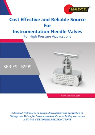 Cost Effective and Reliable Source For Instrumentation Needle Valves