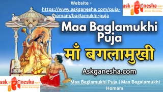 Maa Baglamukhi Puja  Maa Bagalamukhi Homam