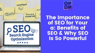 The Importance of SEO for Business: Benefits of SEO & Why SEO Is So Powerful